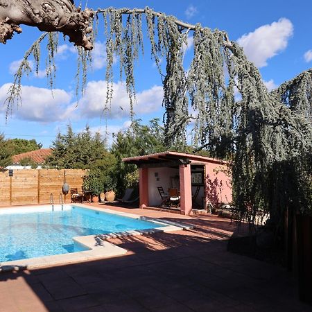 El Cedre Blau Vivienda Con Piscina En Granollers Exterior foto